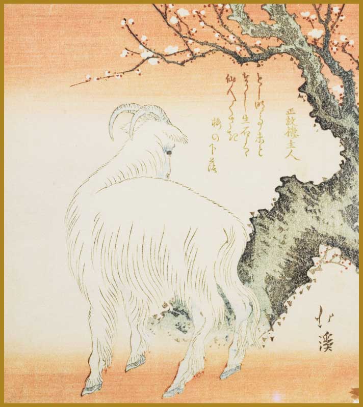 Goat beneath a plum tree - ES27B1